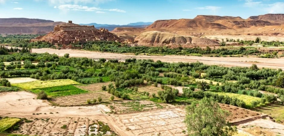 4-days-from-marrakech-to-fes-tour