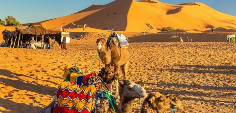 4-days-tour-from-marrakech-to-fes-tour