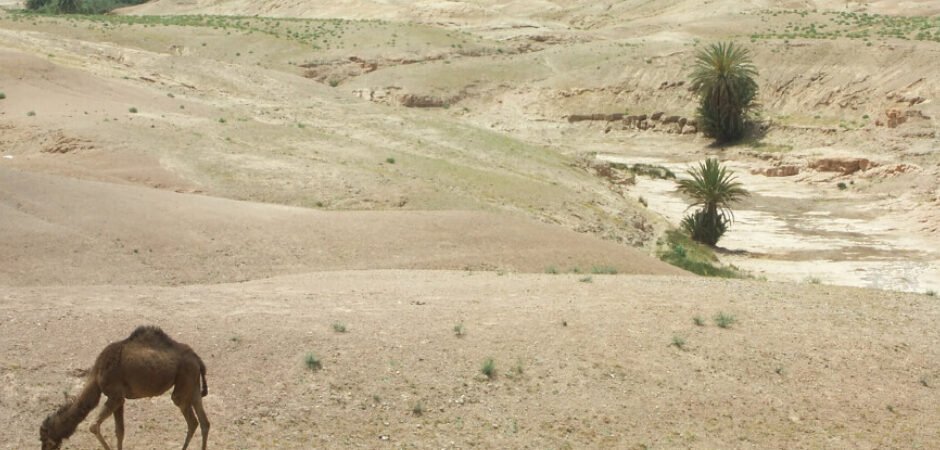 agafay-desert-tour