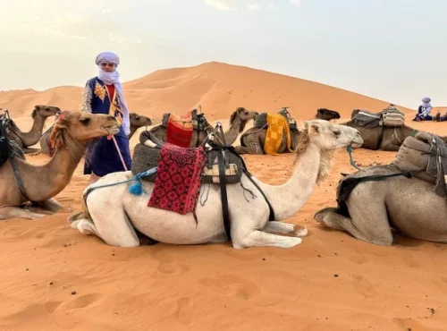 merzouga-1